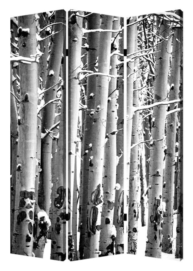 48" X 72" Multi Color Wood Canvas Birch Screen