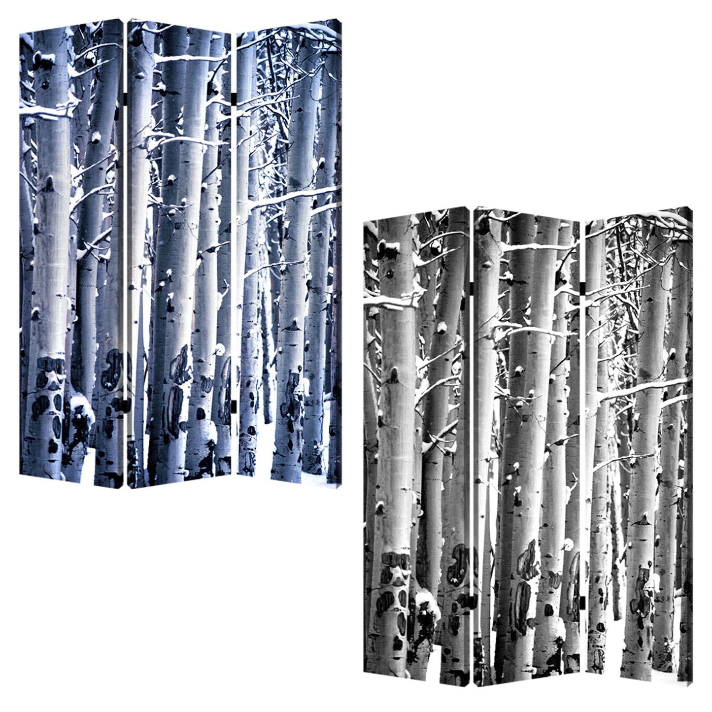 48" X 72" Multi Color Wood Canvas Birch Screen