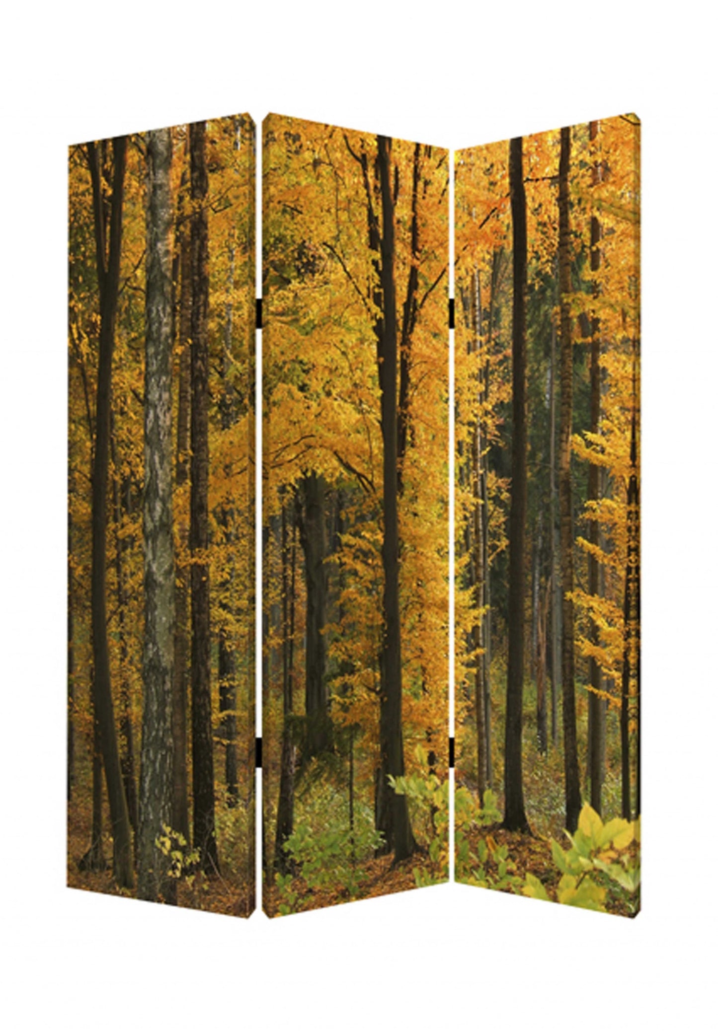 48 X 72 Multi Color Wood Canvas Autumn Journey Screen