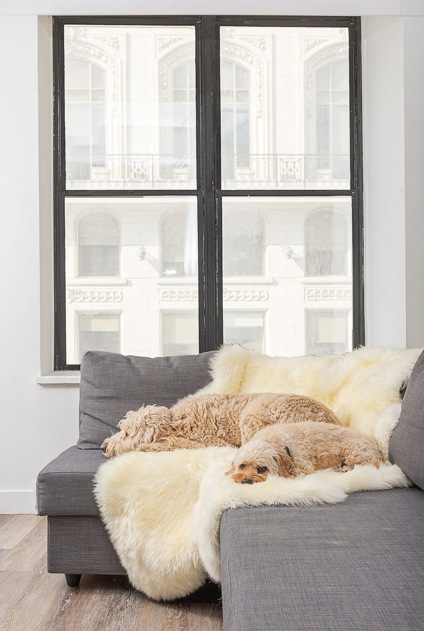 Natural Animal Print Area Rug