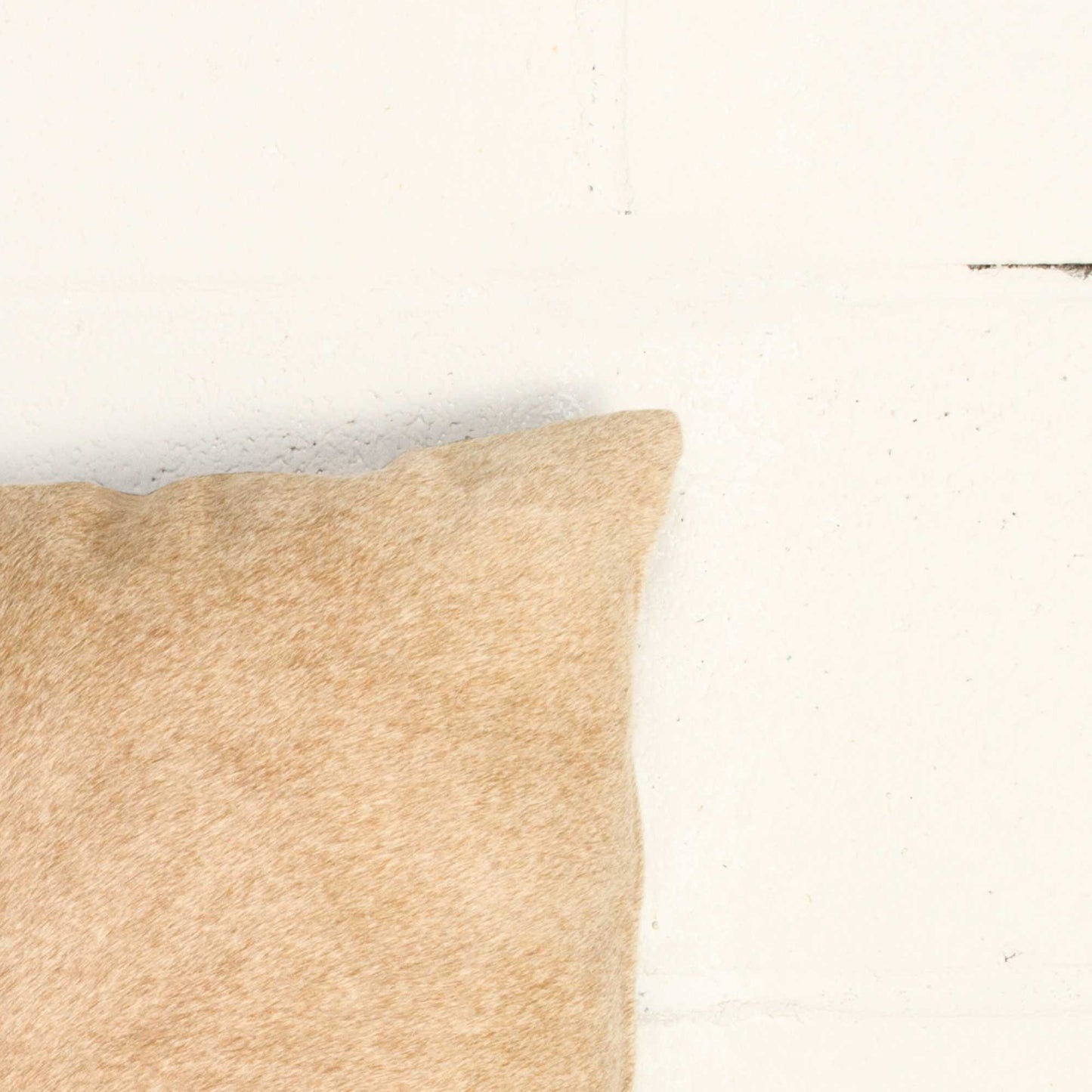 12" X 20" X 5" Natural Cowhide Throw Pillow