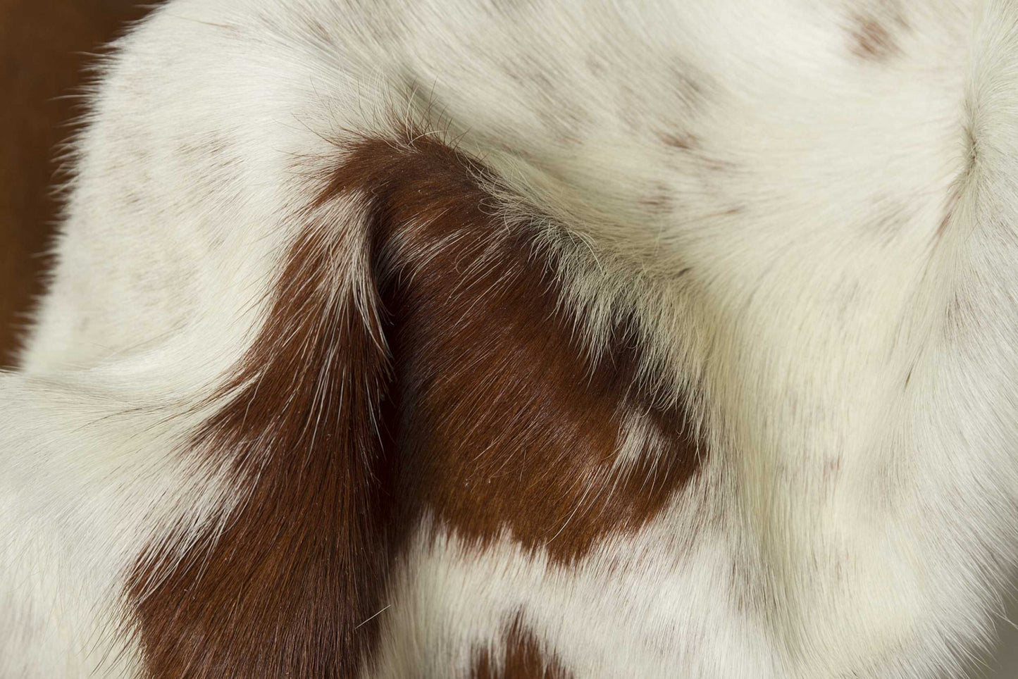 72" X 84" White And Black Cowhide Rug