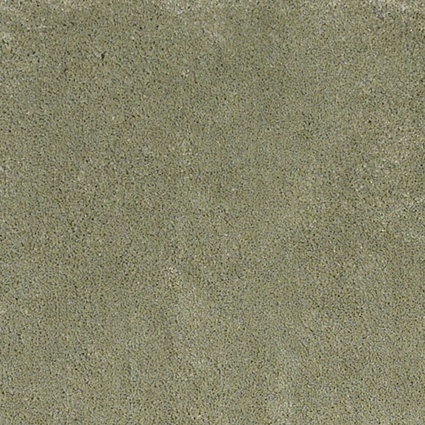 8' X 10' Polyester Sage Area Rug