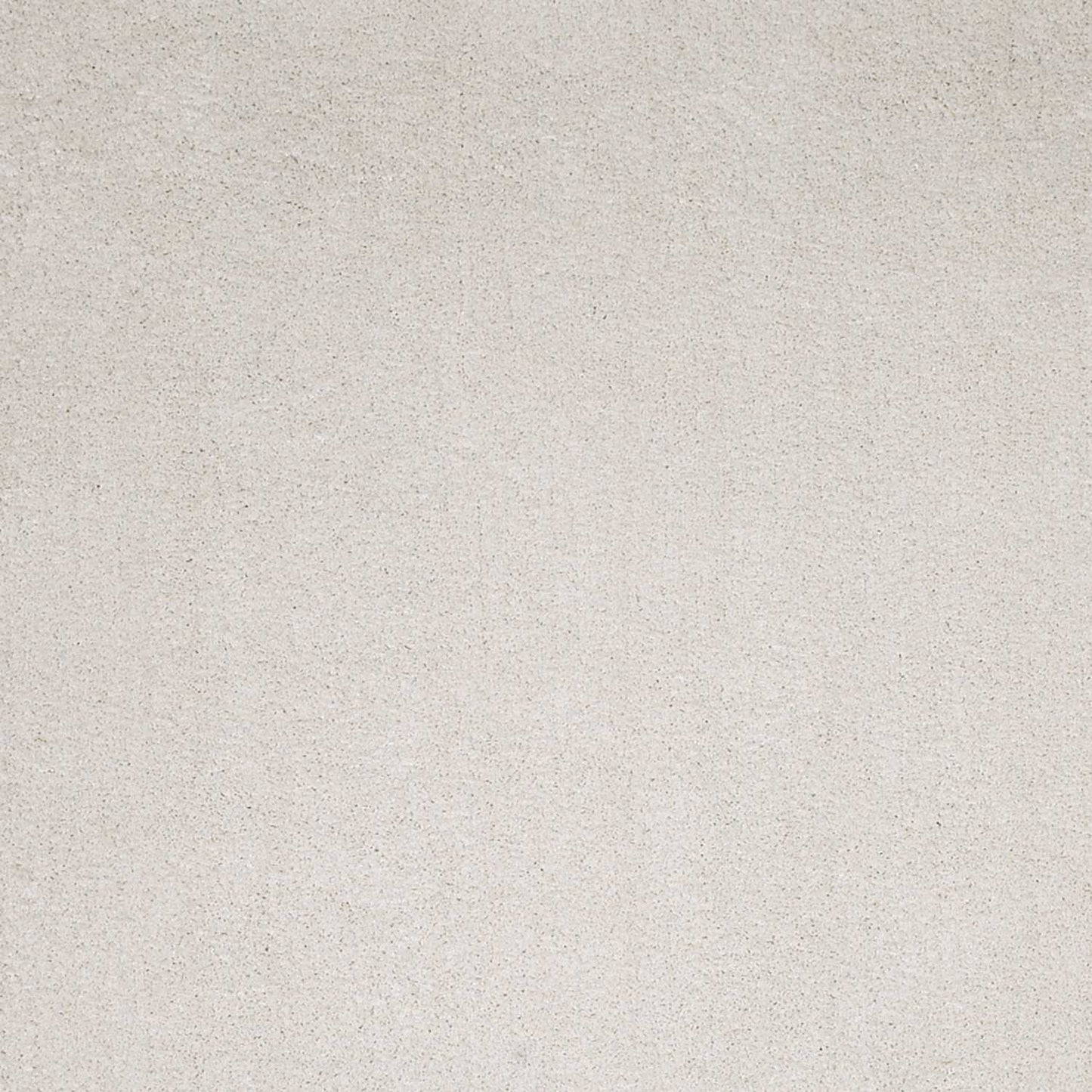 2' X 4' Polyester Ivory Area Rug