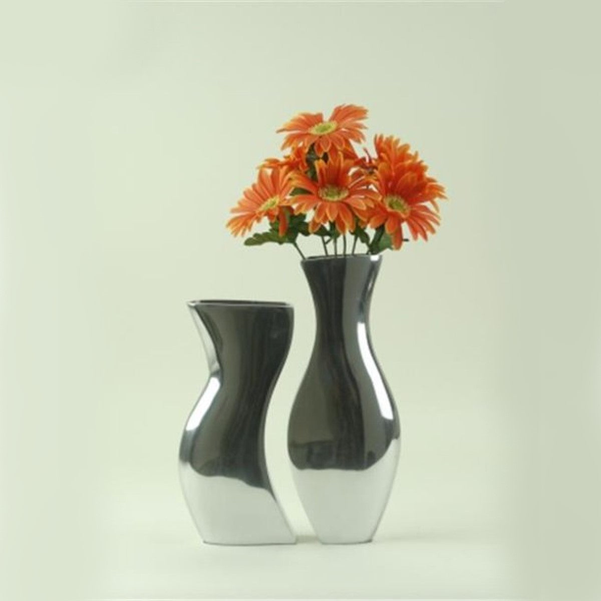 Buffed Adjoining Set Of 2 Vases