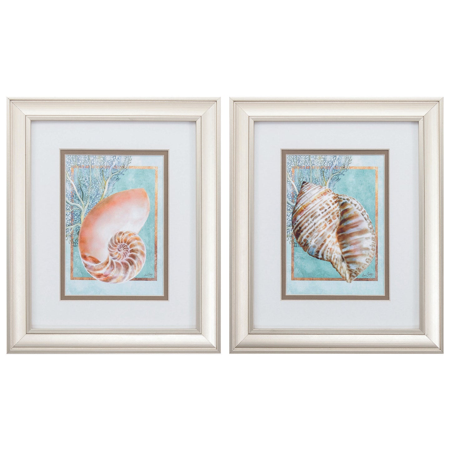 10" X 12" Champagne Gold Color Frame Nautilus Turban (Set Of 2)