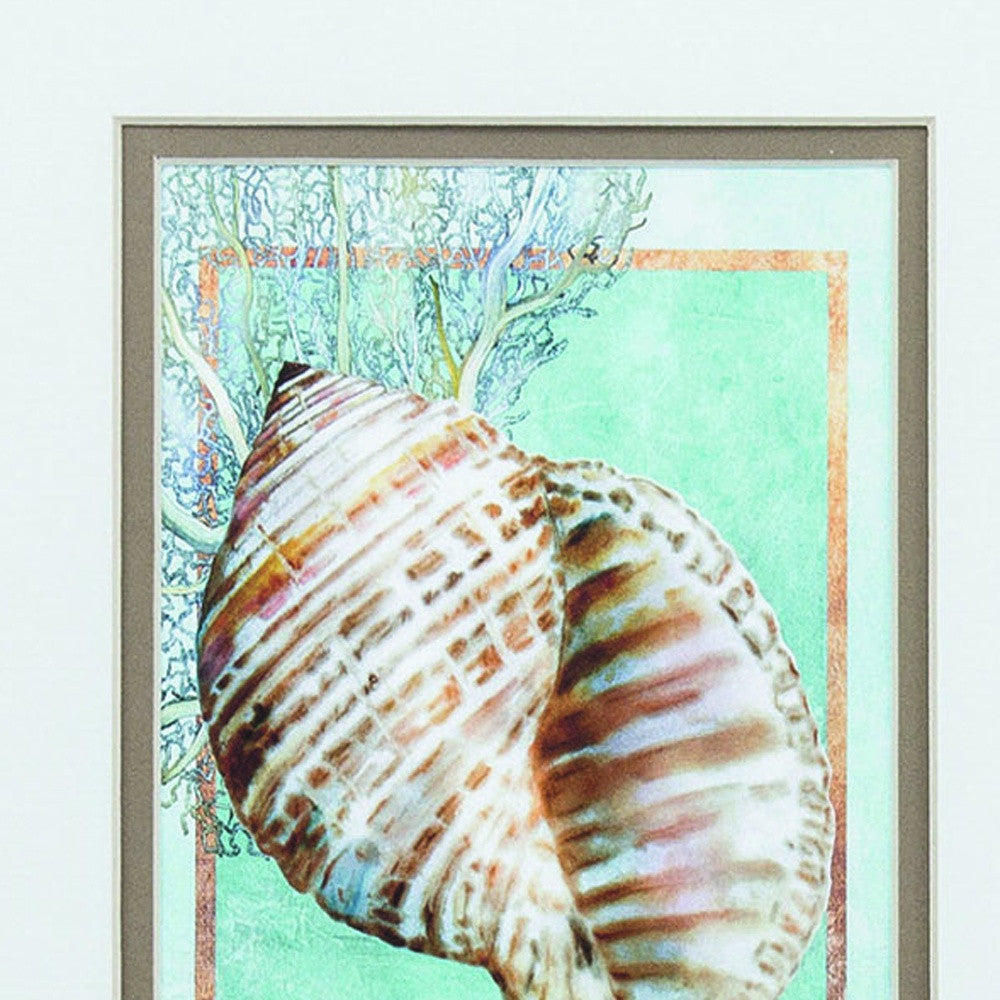 10" X 12" Champagne Gold Color Frame Nautilus Turban (Set Of 2)