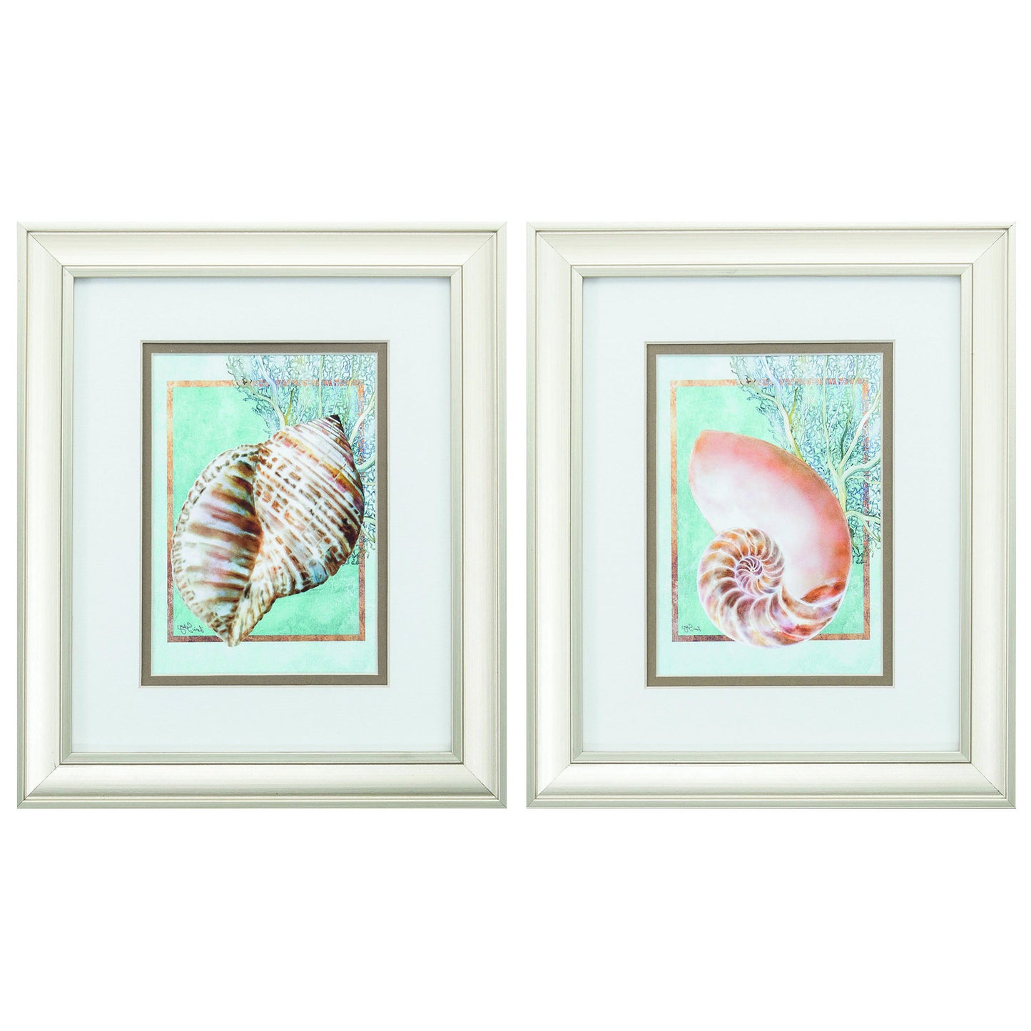 10" X 12" Champagne Gold Color Frame Nautilus Turban (Set Of 2)