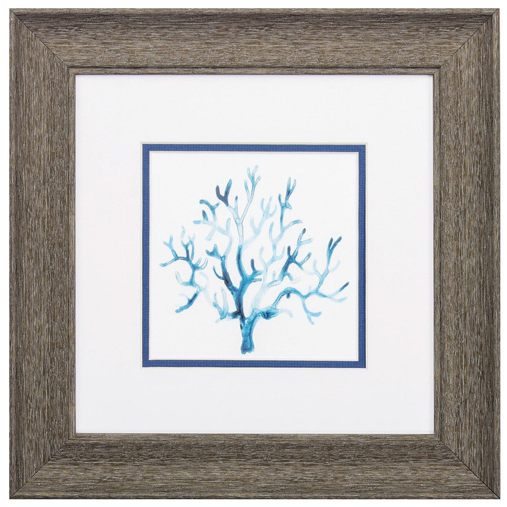 13" X 13" Distressed Wood Toned Frame Azure Seafan (Set Of 2)