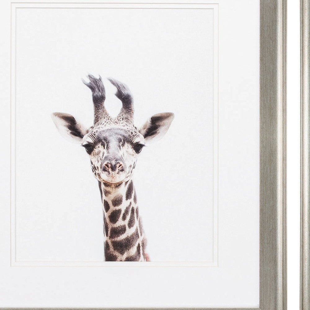 19" X 22" Brushed Silver Frame Giraffe Leopard (Set Of 2)