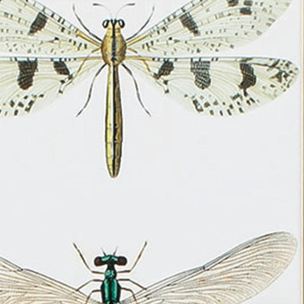 Set Of 2 Metallic Bronze Frame Dragonfly Wall Art