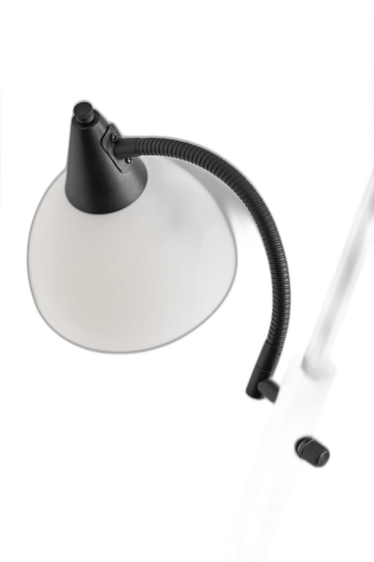 71" Two Light Novelty Floor Lamp With White Bowl Shade