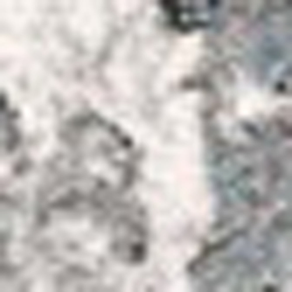 5’ X 8’ Gray And Ivory Abstract Area Rug