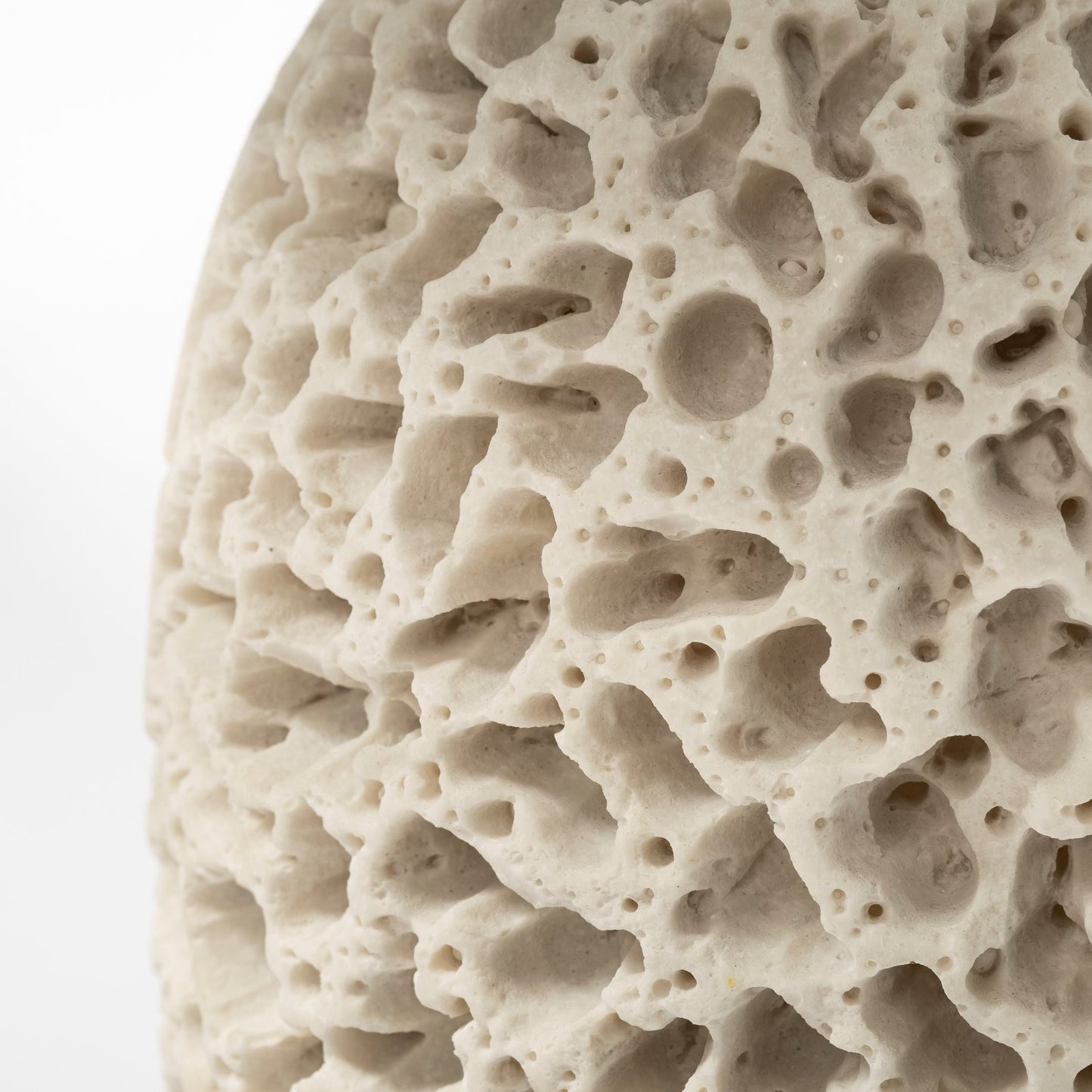 Coastal Beige Faux Coral Table Lamp