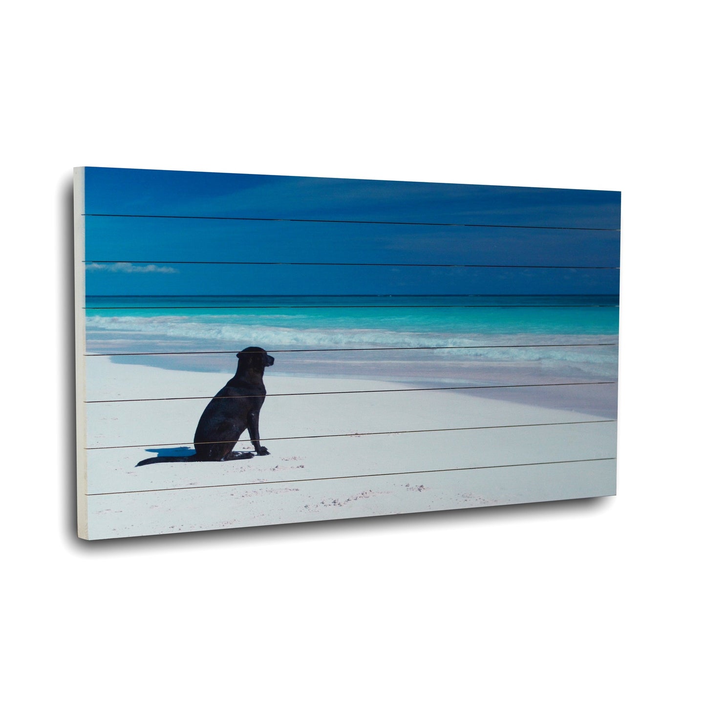 Energetic Dog At The Beach Unframed Photograph Wall Art