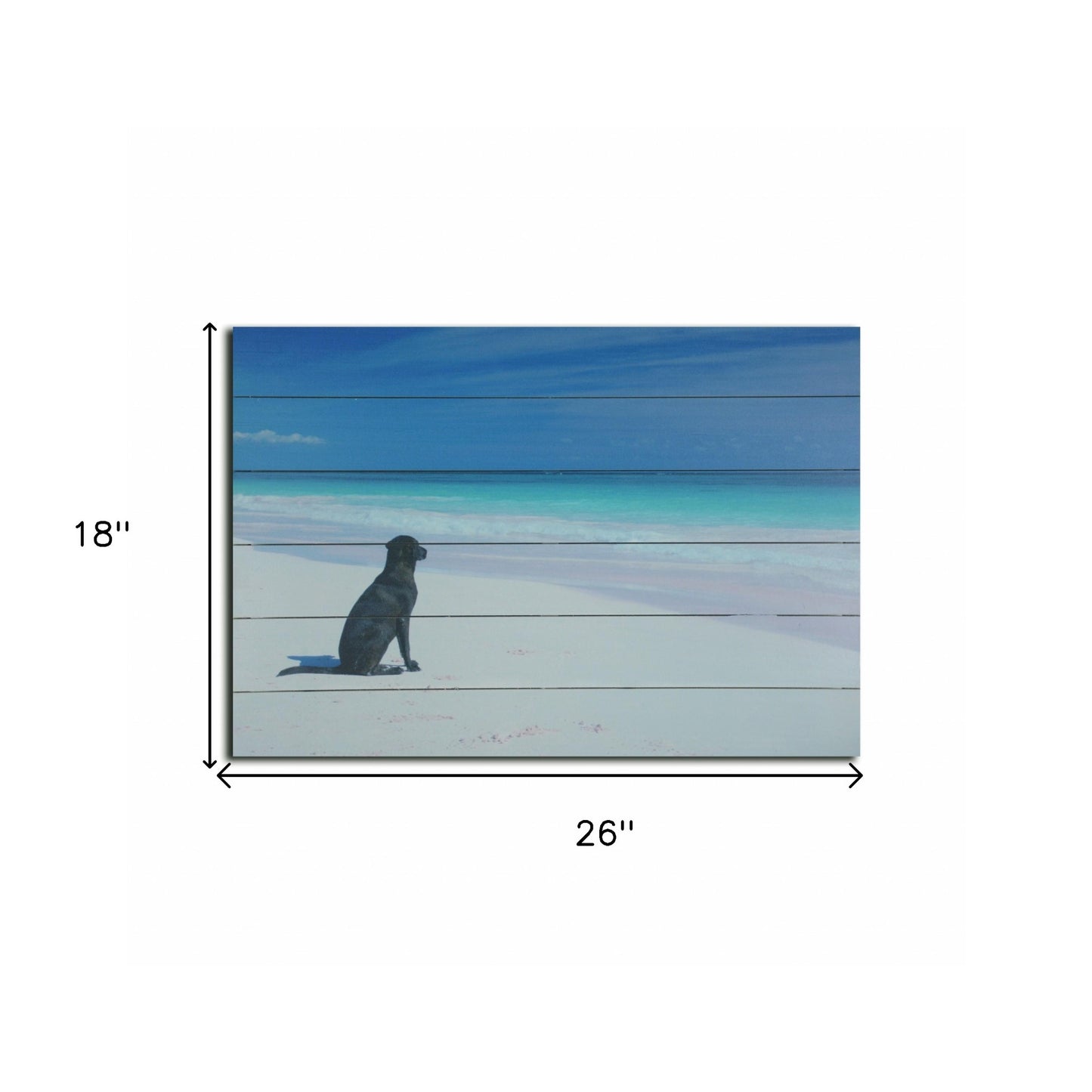 Energetic Dog At The Beach Unframed Photograph Wall Art