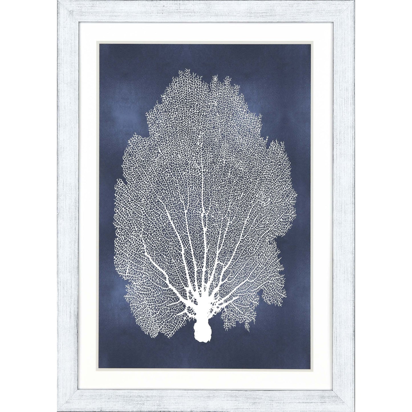 Sea Fan On Blue Ii Framed Art White Picture Frame Print Wall Art