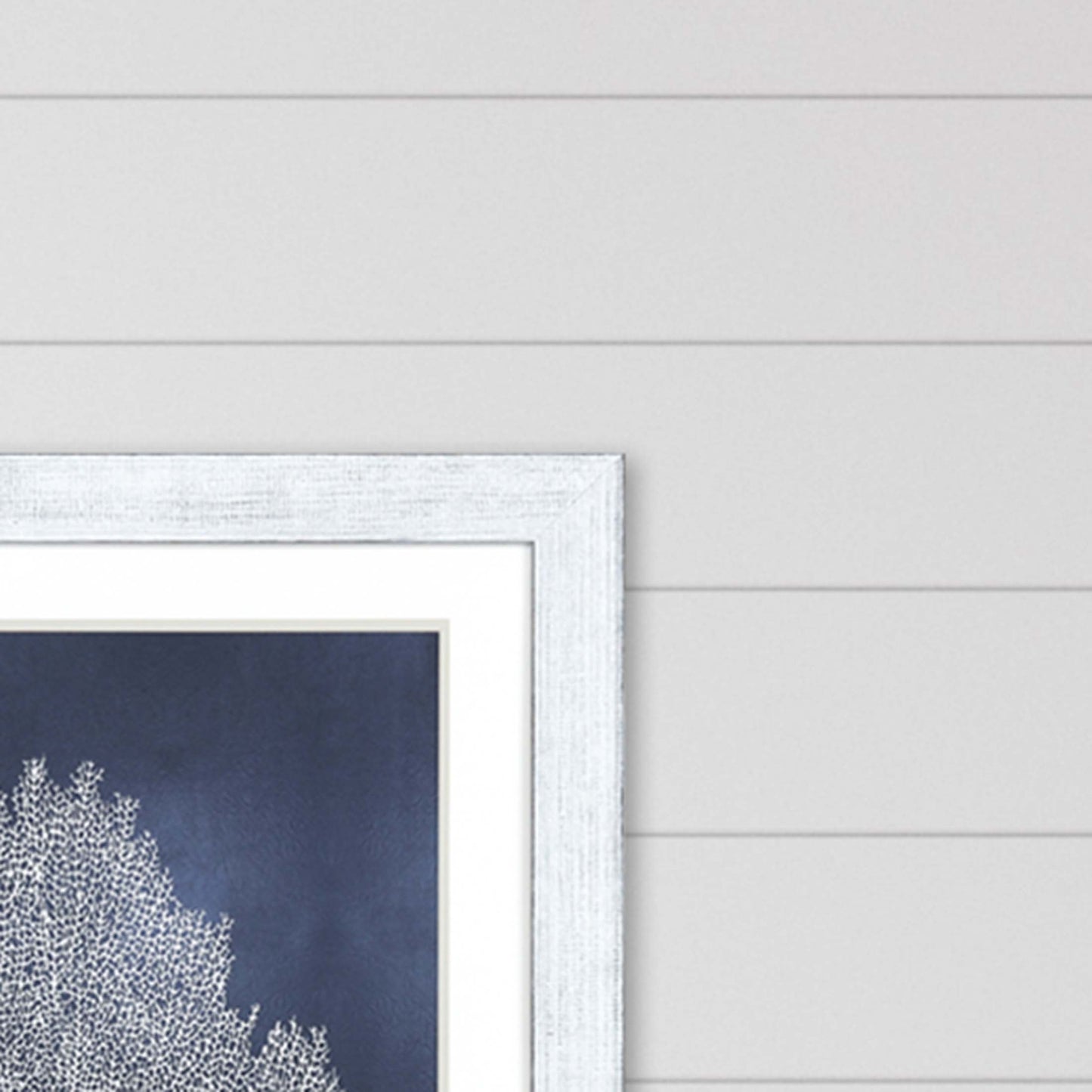 Sea Fan On Blue Ii Framed Art White Picture Frame Print Wall Art