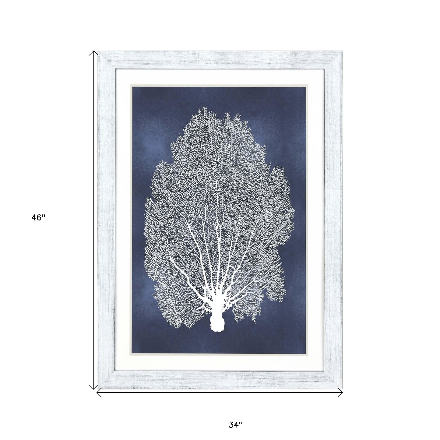 Sea Fan On Blue Ii Framed Art White Picture Frame Print Wall Art