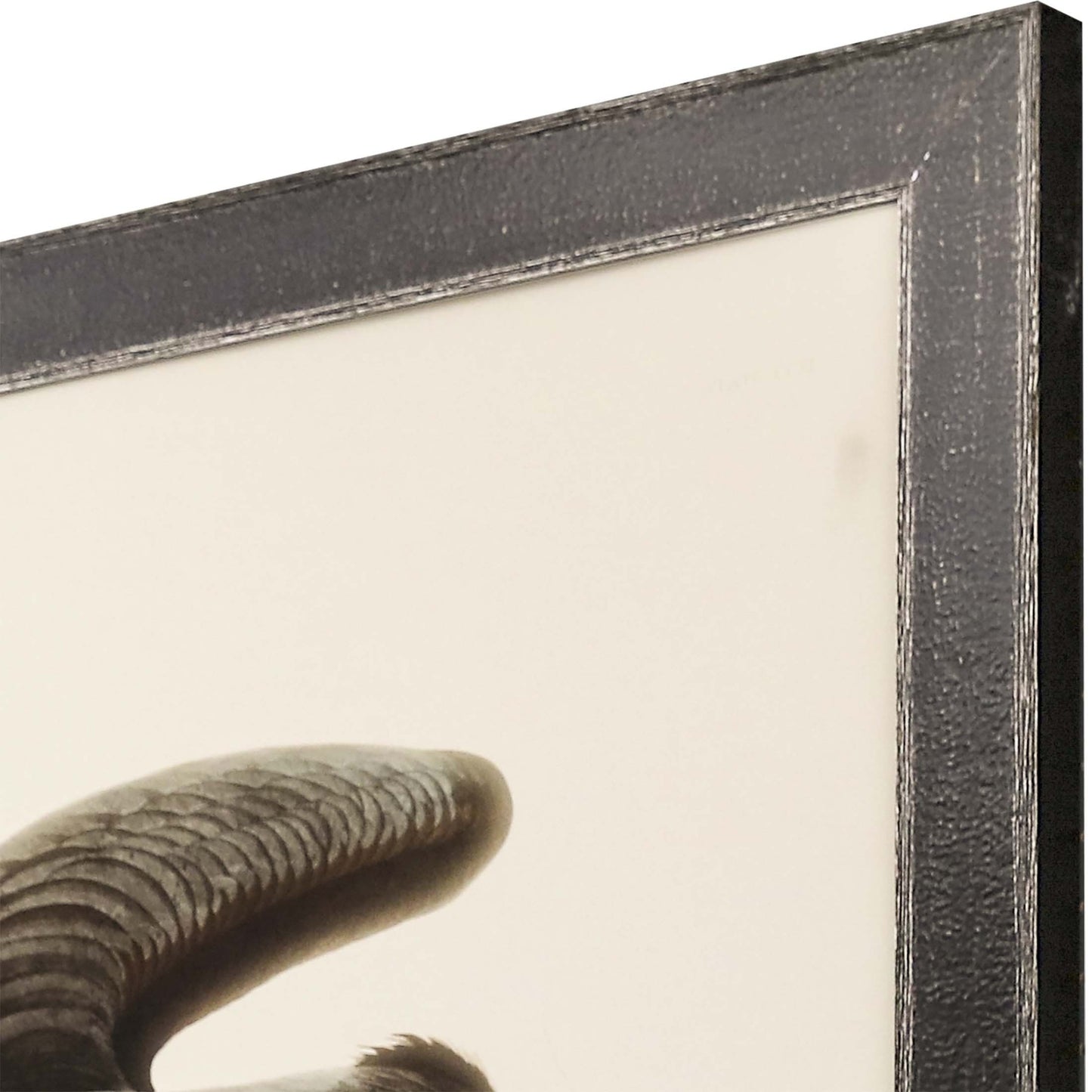 Great Blue Heron Framed Art Brown Picture Frame Print Wall Art