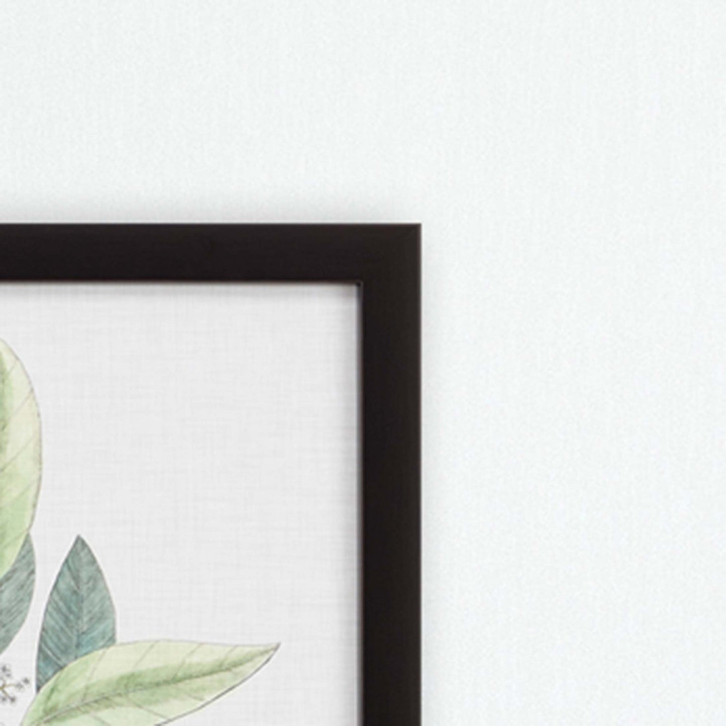 Studies In Nature Iv Framed Art Brown Picture Frame Print Wall Art