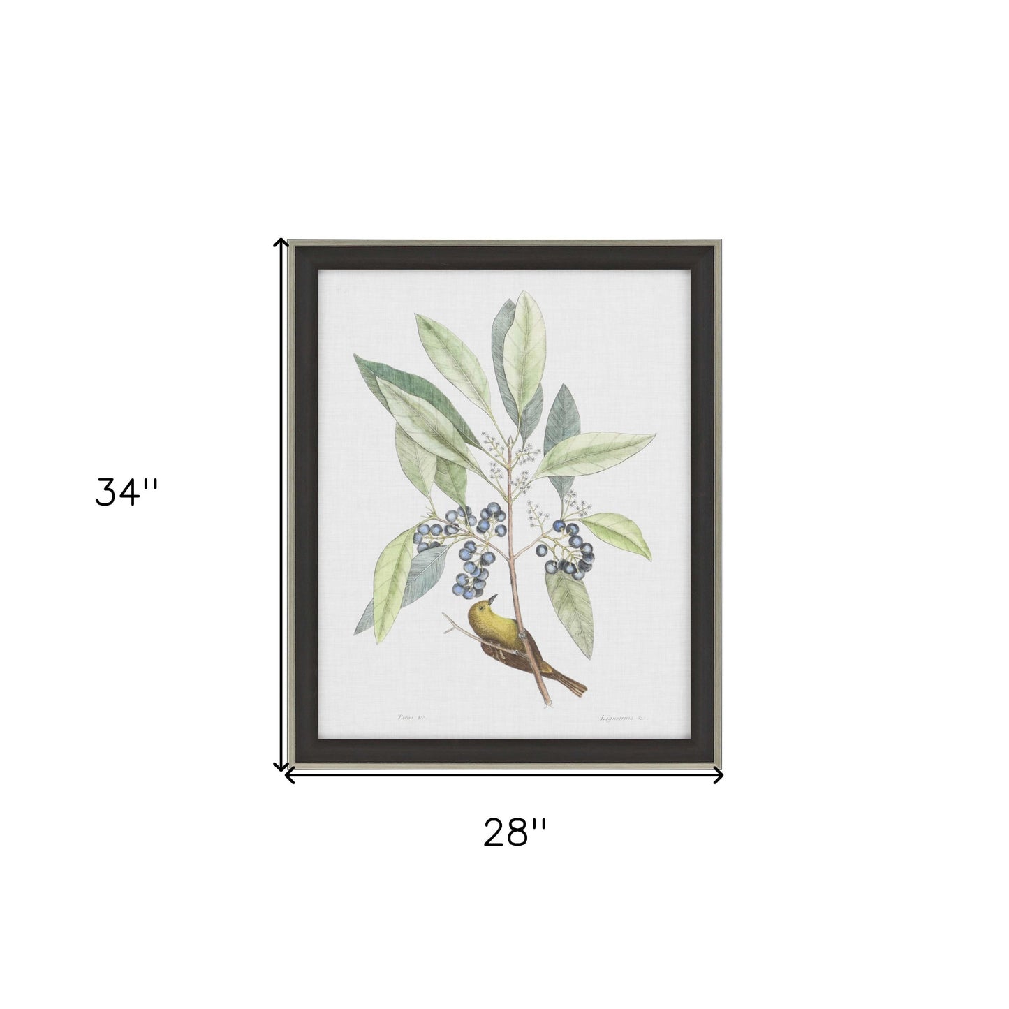 Studies In Nature Iv Framed Art Brown Picture Frame Print Wall Art
