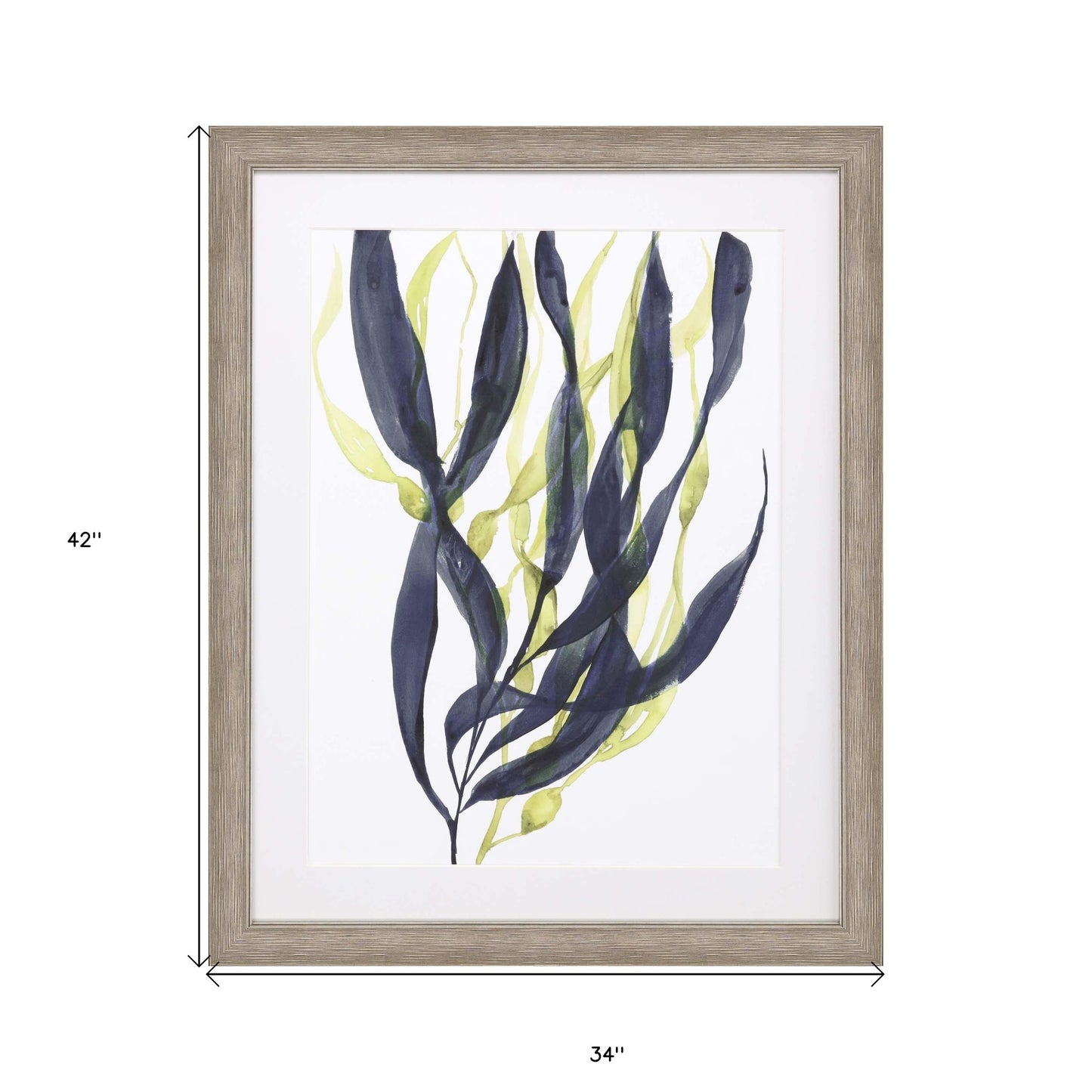 Kelp Embrace I Framed Art Silver Picture Frame Print Wall Art