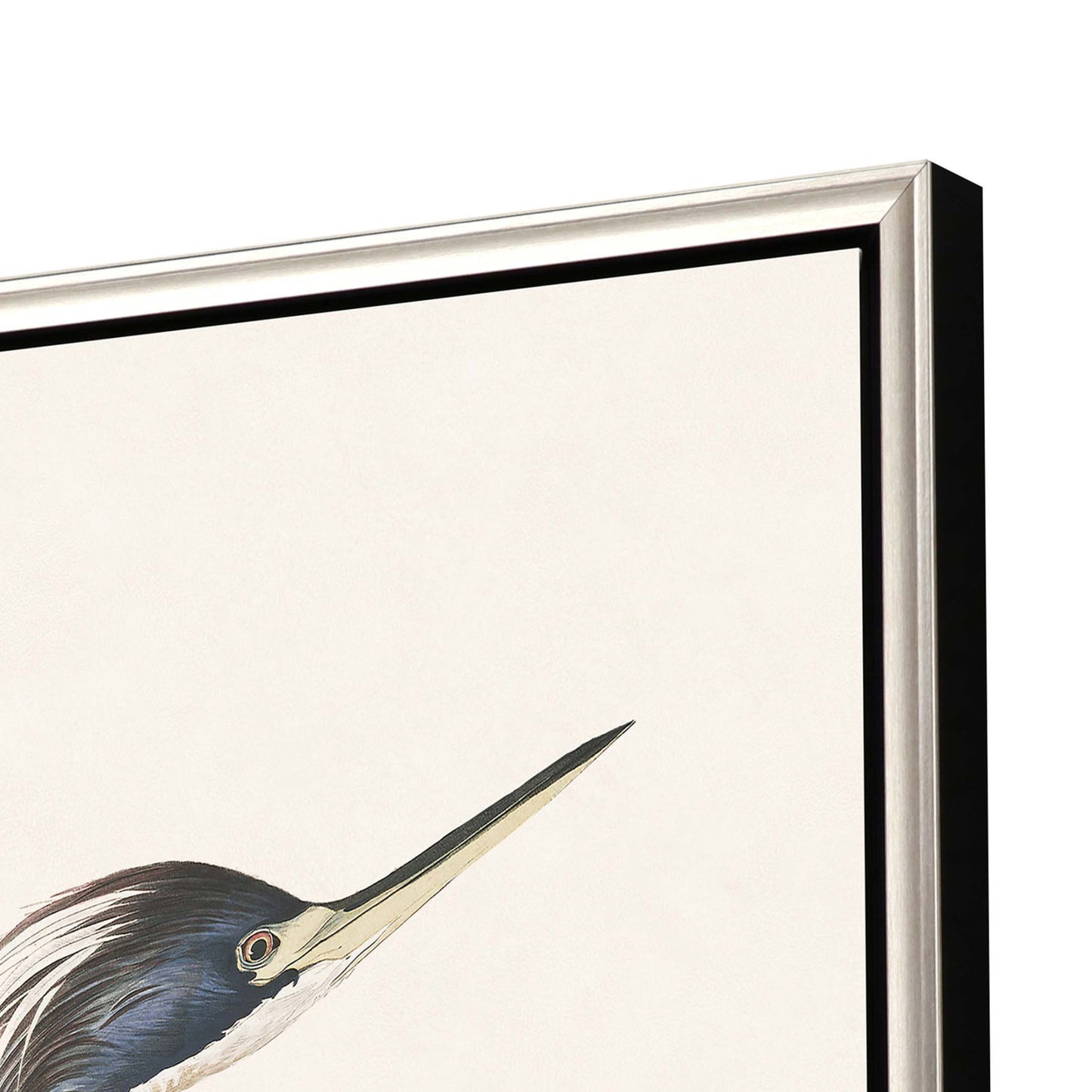 Great Heron I Canvas Silver Floater Frame Print Wall Art