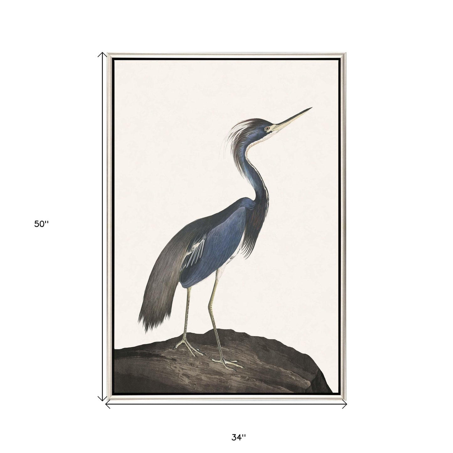 Great Heron I Canvas Silver Floater Frame Print Wall Art