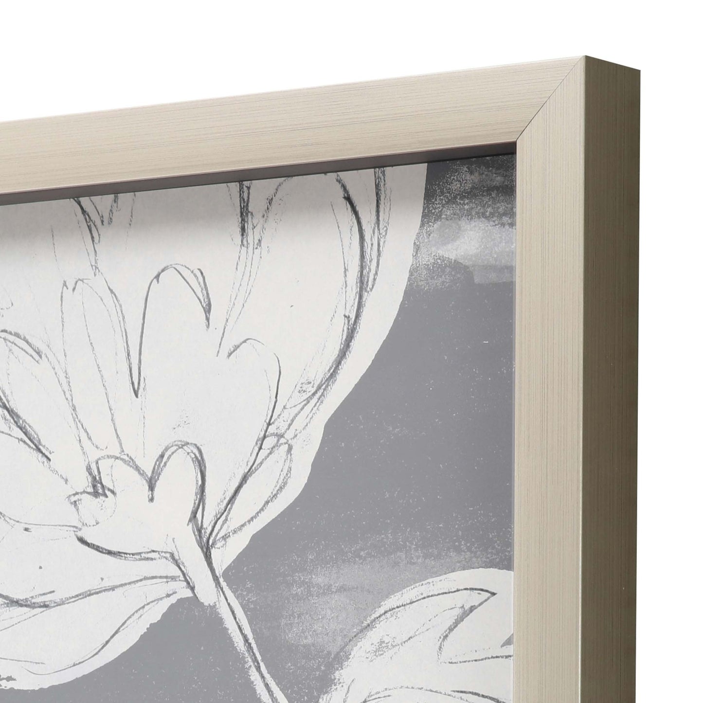 Grayscale Garden Ii Framed Art Silver Picture Frame Print Wall Art