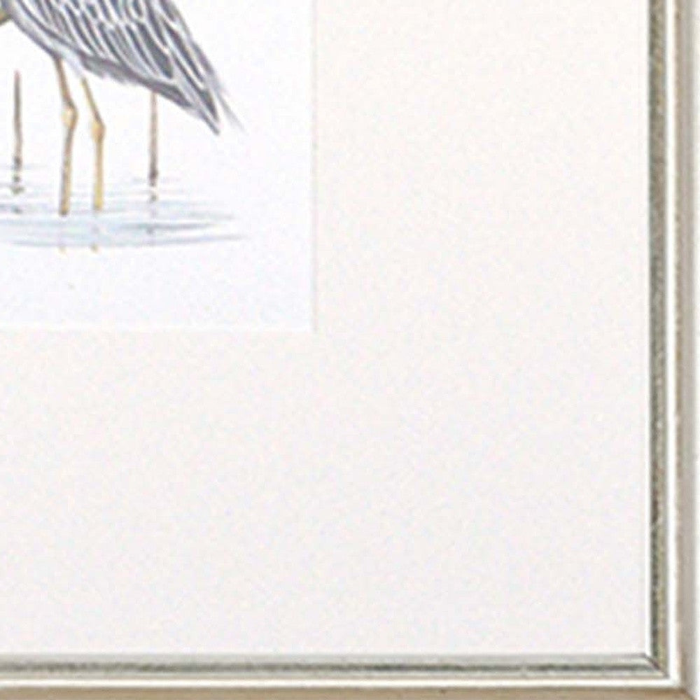 Set Of Four Egrets S/4 Silver Framed Print Wall Art
