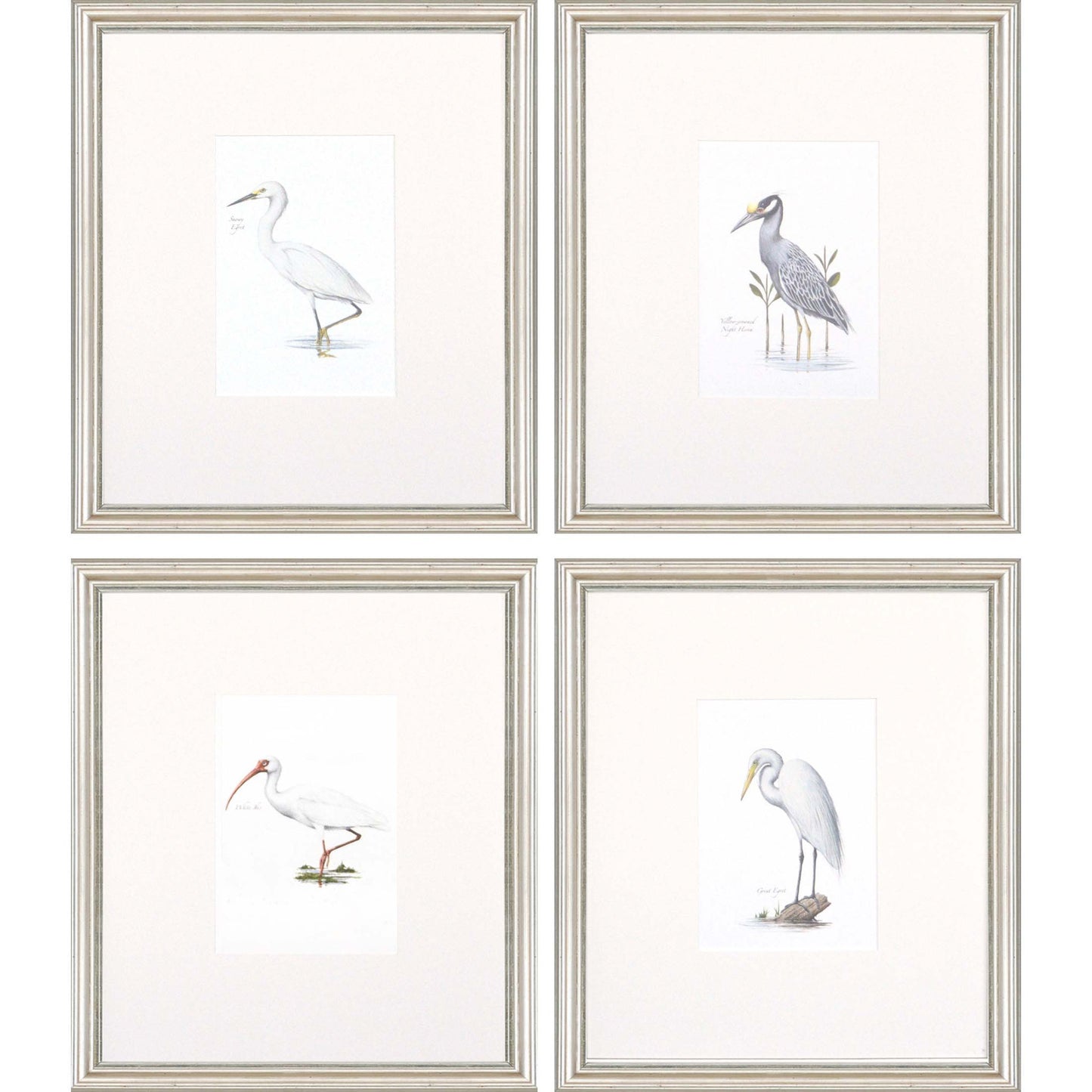 Set Of Four Egrets S/4 Silver Framed Print Wall Art