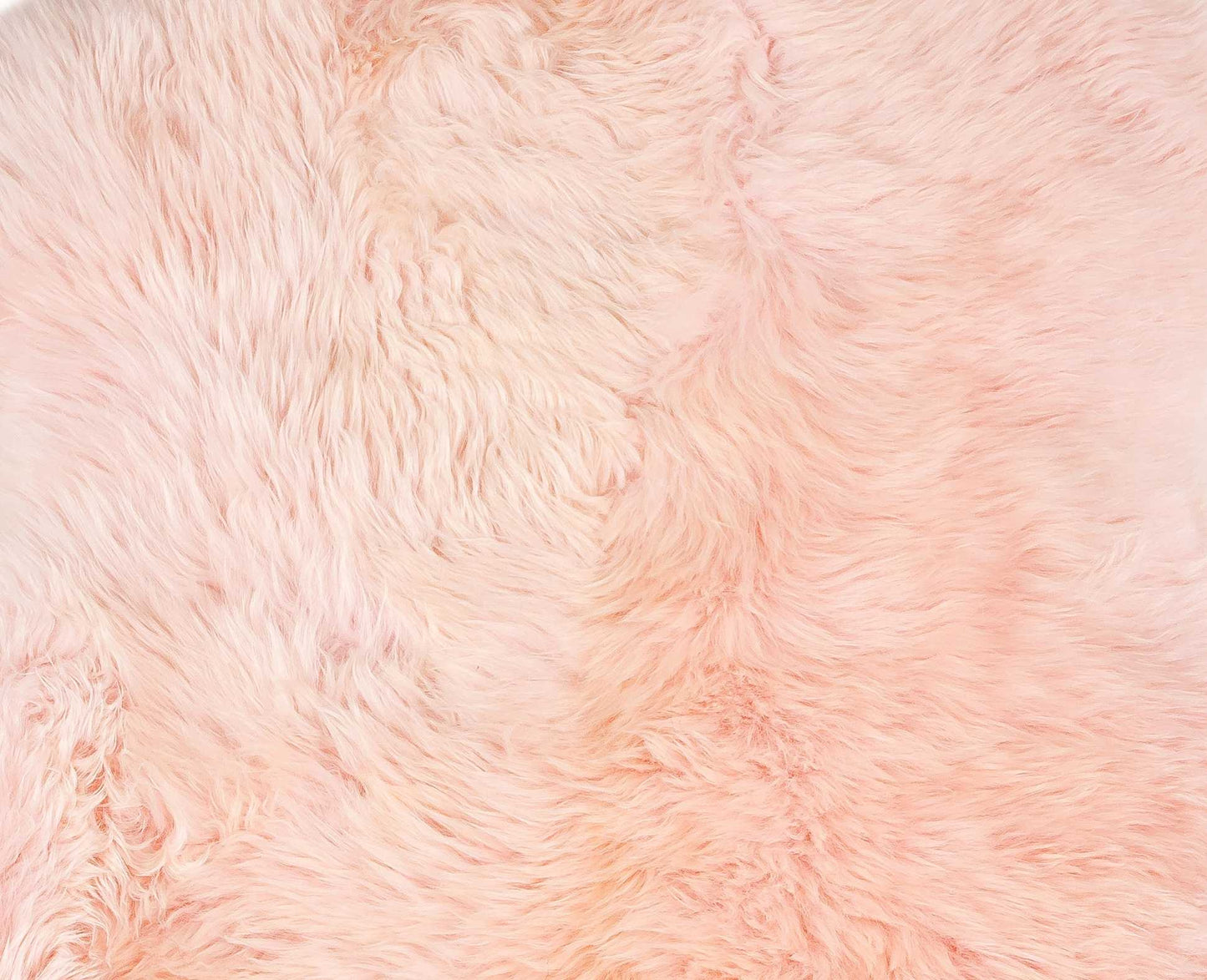 2' X 3' Dark Cream New Zealand Natural Sheepskin Rug