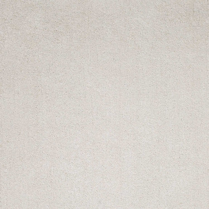 2' X 4'  Polyester Ivory Area Rug
