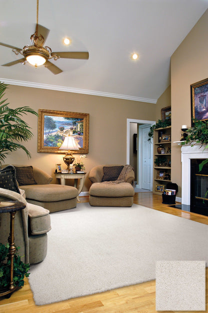 2' X 4'  Polyester Ivory Area Rug