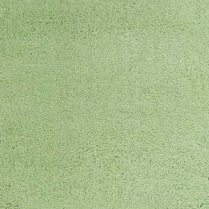 5'X7' Spearmint Green Indoor Shag Rug