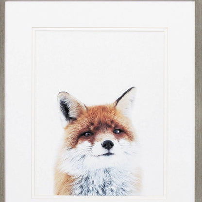 19" X 22" Brushed Silver Frame Fox Racoon (Set Of 2)