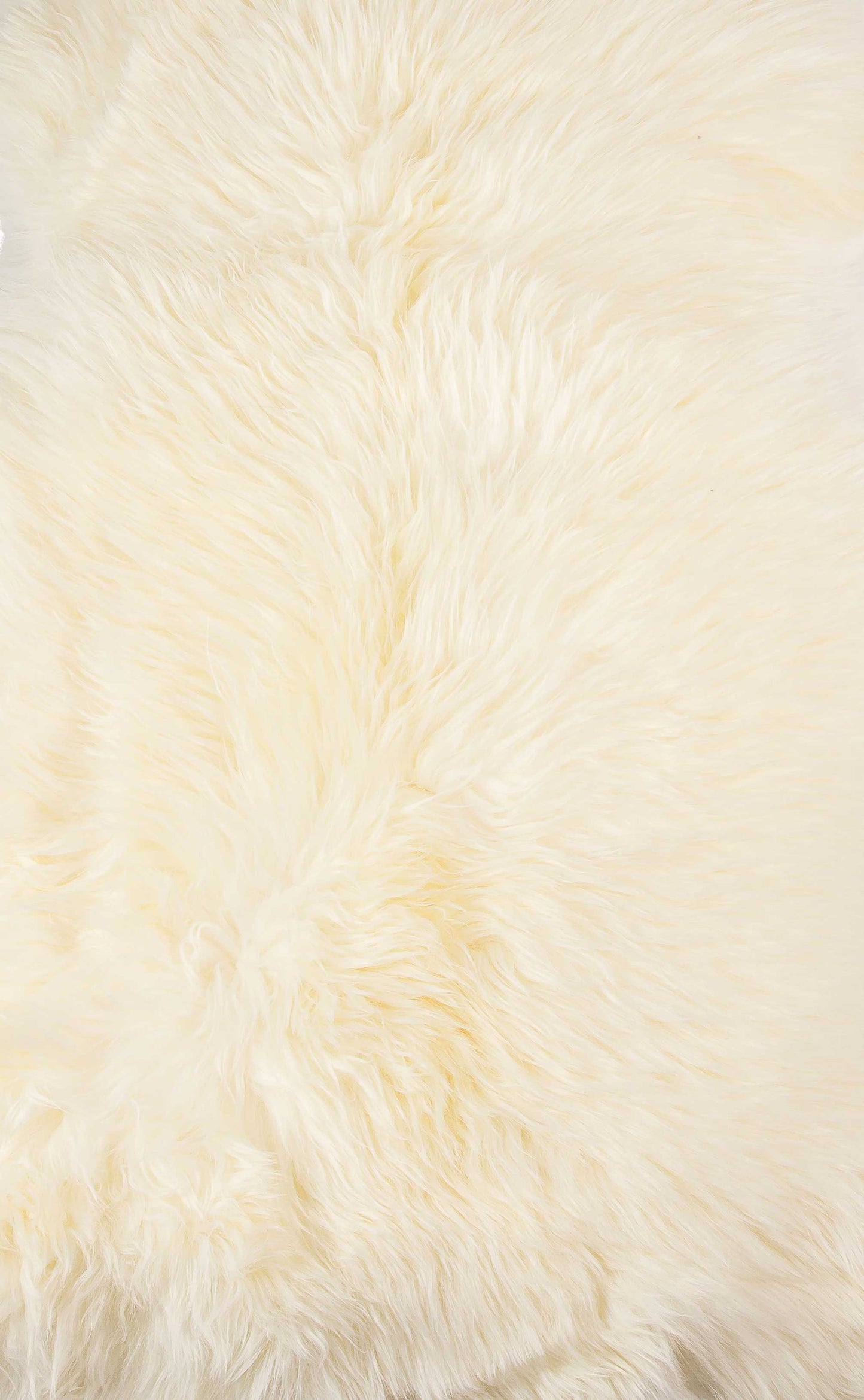 2' X 3' Dark Cream New Zealand Natural Sheepskin Rug