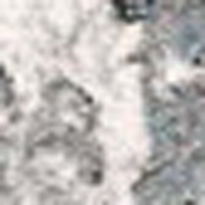 5’ X 8’ Gray And Ivory Abstract Area Rug