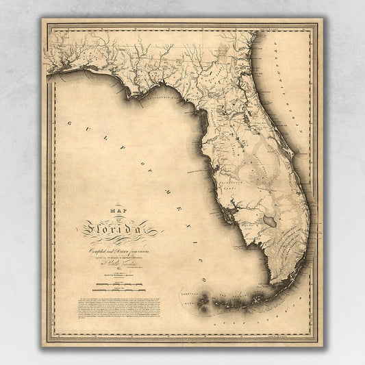 20" X 24" C1823 Early Map Of Florida  Vintage  Poster Wall Art
