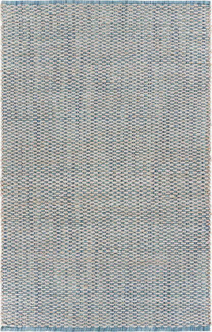 8’ x 10’ Blue and Beige Toned Area Rug