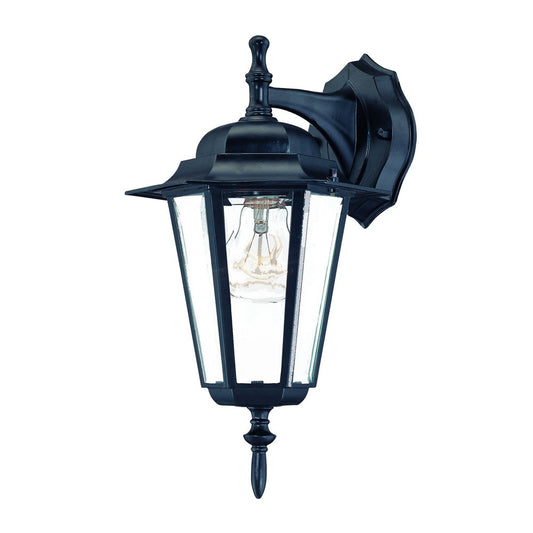 Matte Black Glass Hanging Lantern Wall Light