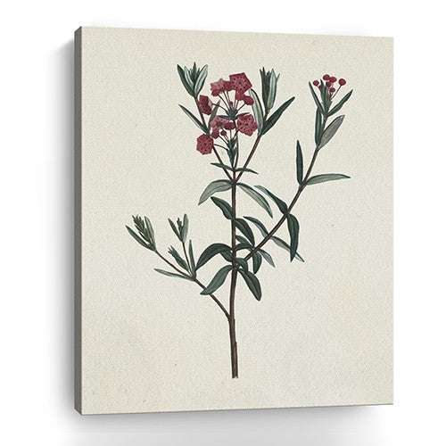 Singular Red Blossom Branch Unframed Print Wall Art