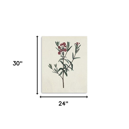 Singular Red Blossom Branch Unframed Print Wall Art