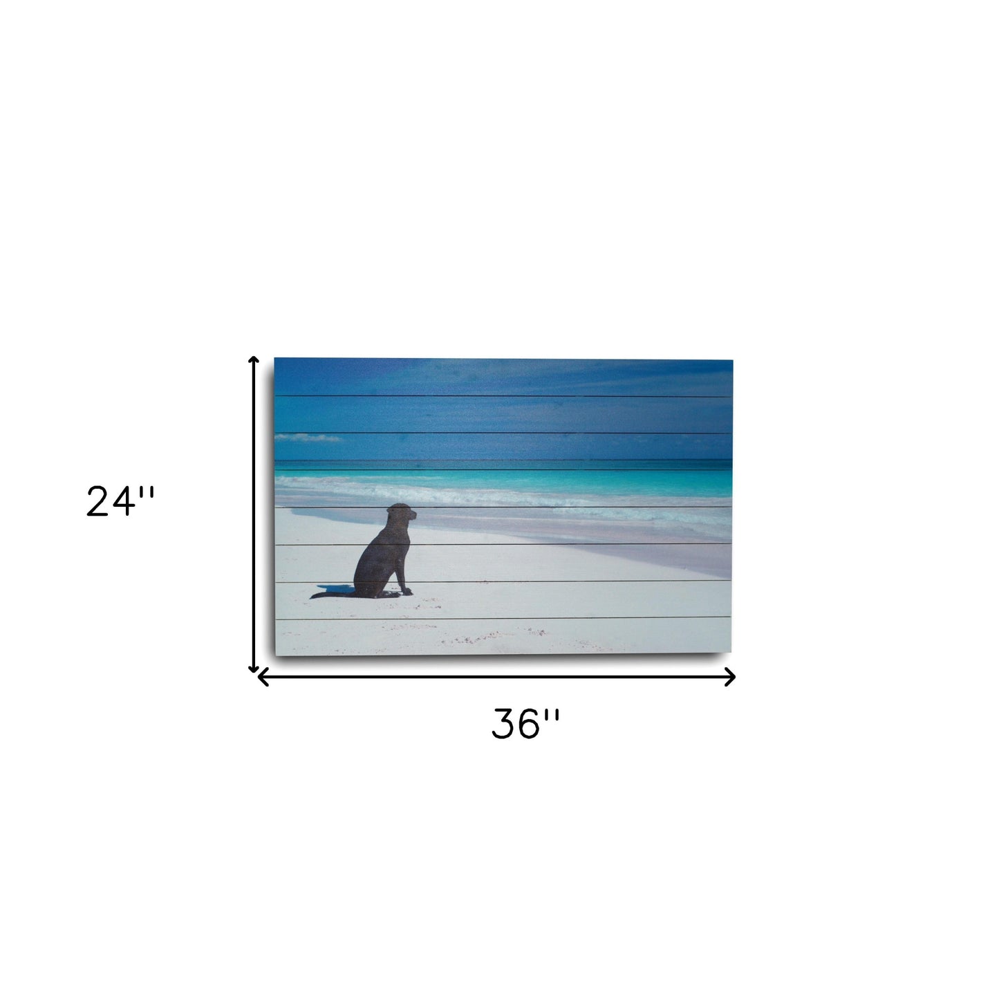 Energetic Dog At The Beach Unframed Photograph Wall Art