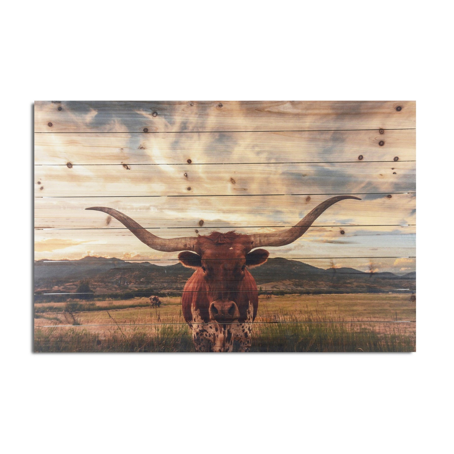 Longhorn Cow in Field Wood Plank Wall Art