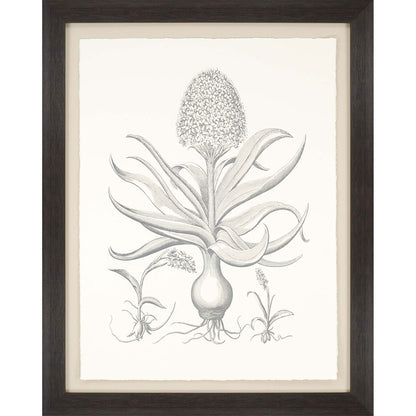 Cinera Framed Art Brown Picture Frame Print Wall Art