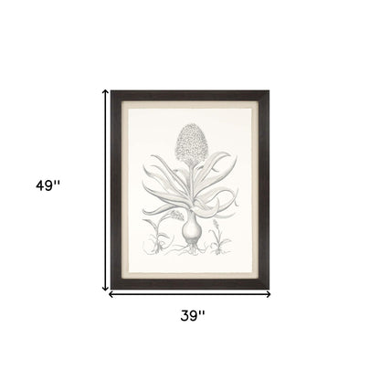 Cinera Framed Art Brown Picture Frame Print Wall Art