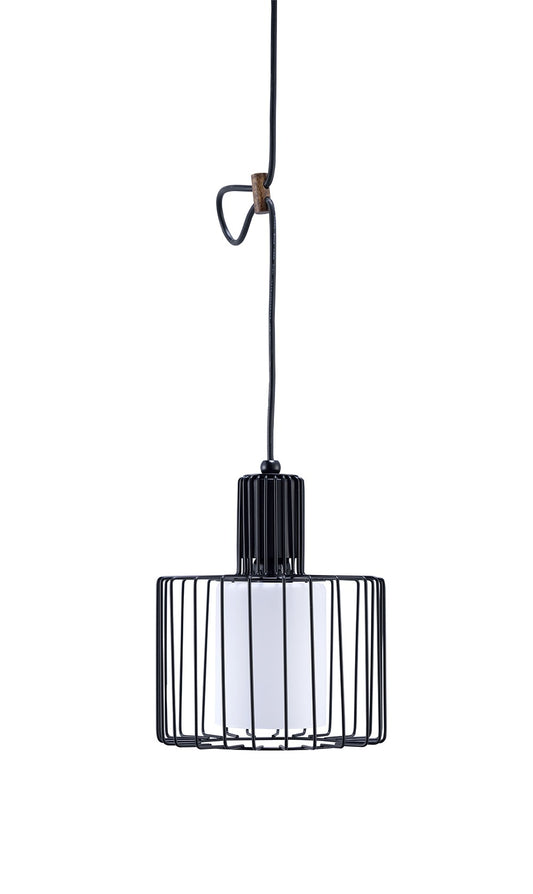 Black Metal Cage Hanging Light