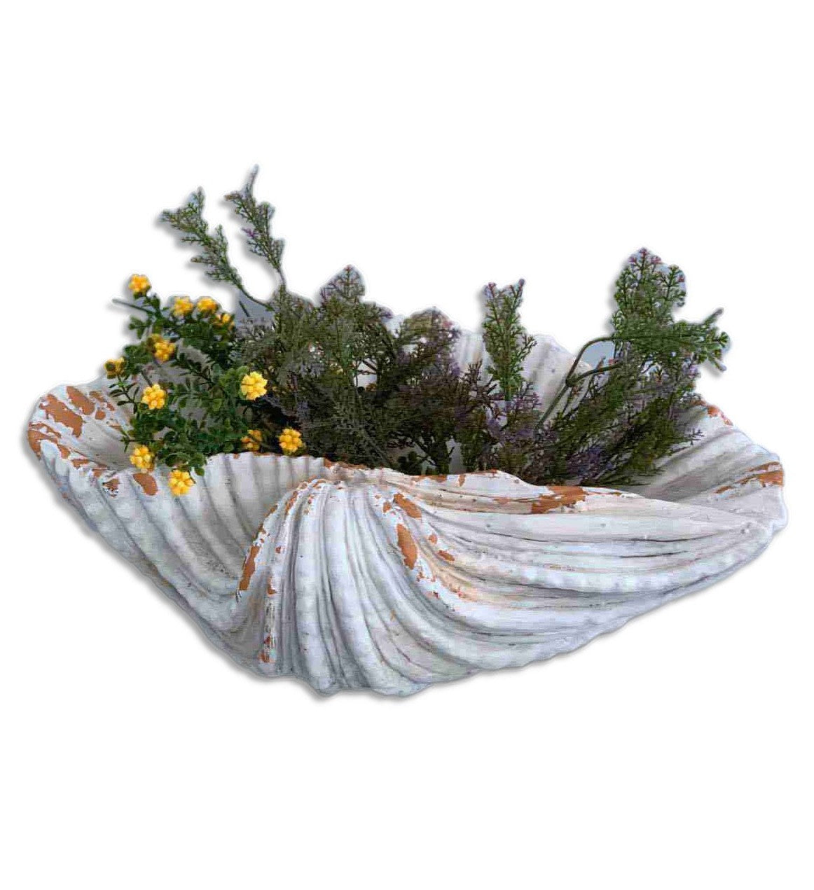 6" Distressed Cream and Terra Cotta Scallop Shell Planter